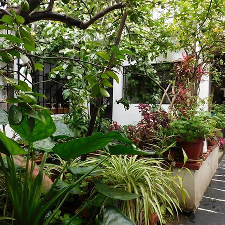 Hotel Maria Bonita By Rotamundos Taxco de Alarcon Zewnętrze zdjęcie